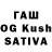 Псилоцибиновые грибы Psilocybine cubensis SlyMeerkat