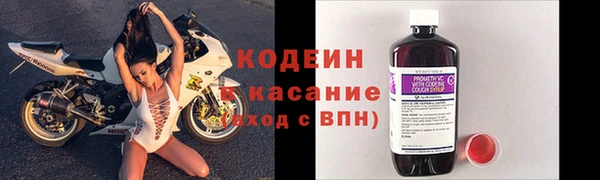 соль ск Белокуриха