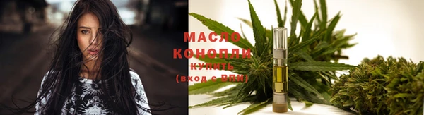 индика Беломорск