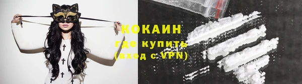 индика Беломорск