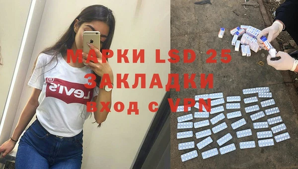 индика Беломорск