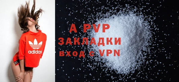 соль ск Белокуриха