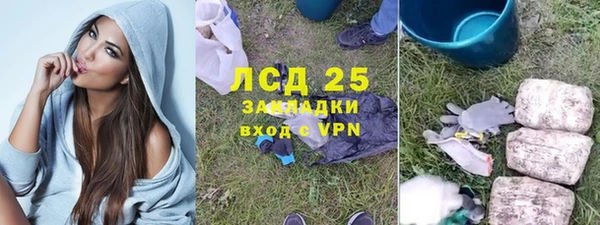 индика Беломорск