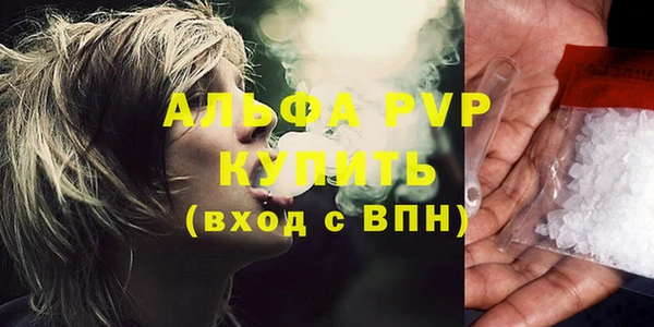 индика Беломорск